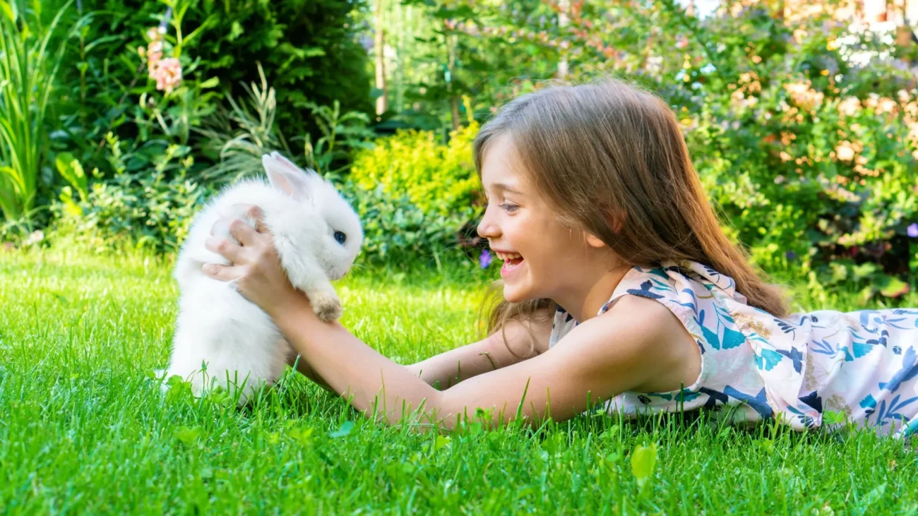 Shutterstock_2036863178 | TVGURU.cz holčička s malým bílým králíčkem na zahradě