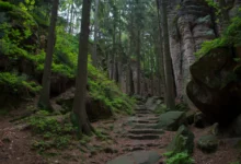 Potemnělé Prachovské skály