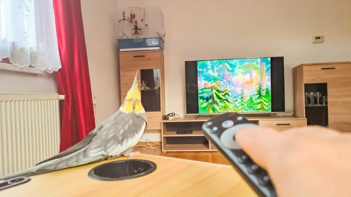 Člověk ovladačem míří na televizi a sedí u něj ptáček.