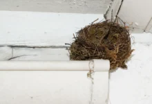 shutterstock_1718208535 1