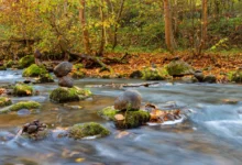 Podzimní rovnodennost.