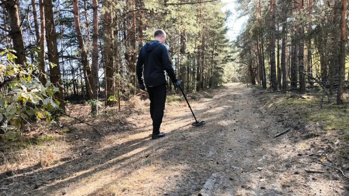 hledač pokladů, les