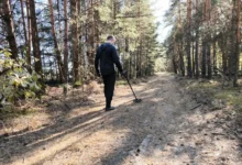 hledač pokladů, les