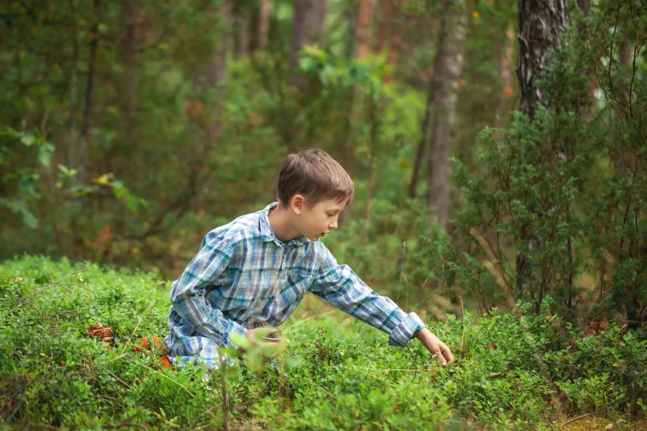 Chlapec v lese.