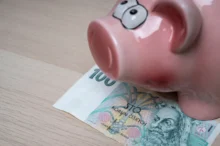 prasátko se sto korunou