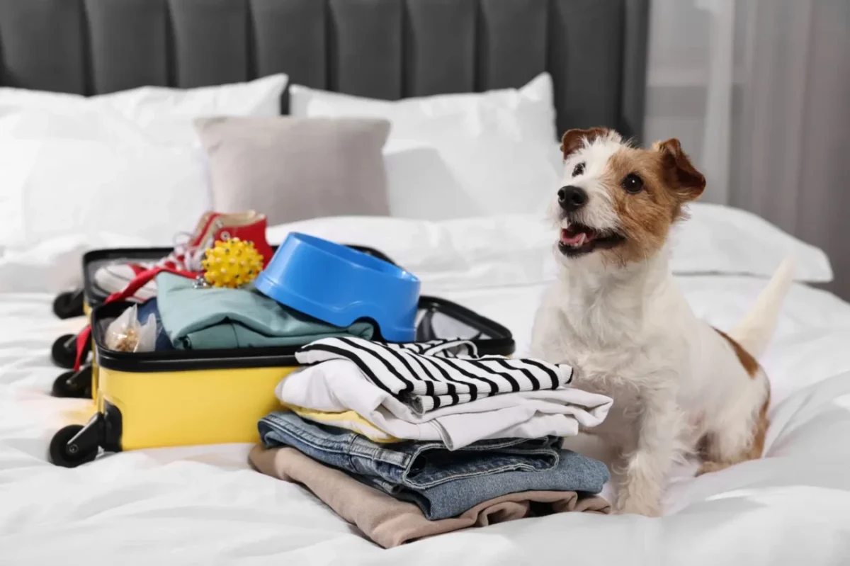 "Já to pohlídám... Anebo rozkoušu, až vymajznete"