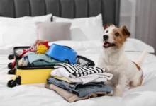 "Já to pohlídám... Anebo rozkoušu, až vymajznete"