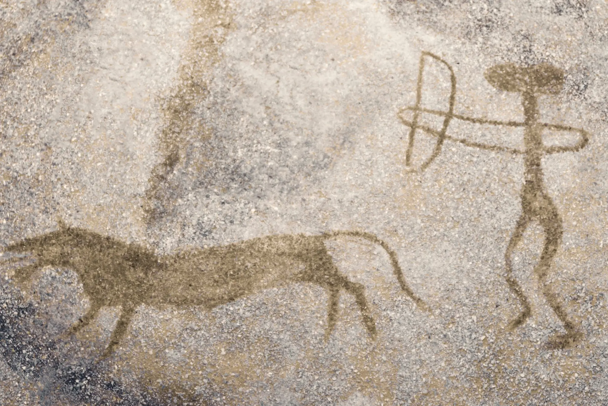 Zvířecí motivy v jeskyních | TVGURU.cz Zvířecí motivy v jeskyních