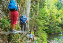 shutterstock_2280663533-2