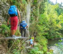 shutterstock_2280663533-2