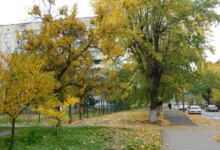 Podzim.