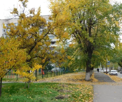 Podzim.