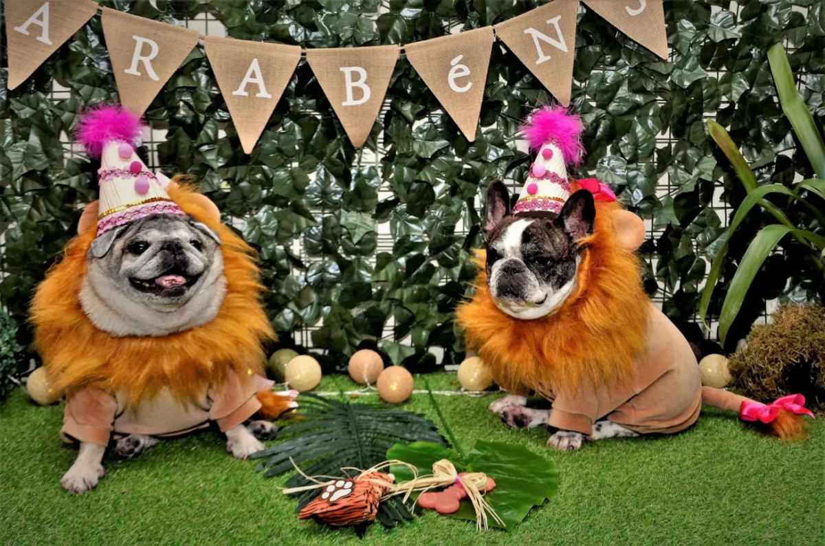 shutterstock_1611397906-2