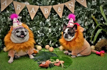 shutterstock_1611397906-2