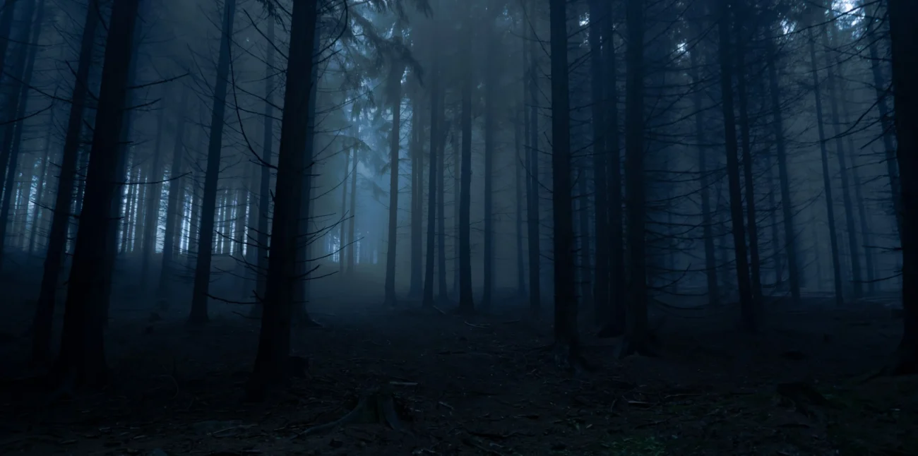 Jedna ze scén se odehrává v tmavém lese. Zdroj: Shutterstock | TVGURU.cz Les ve tmě.