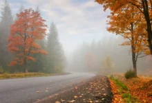 Podzimní mlhy jsou nepříjemné i nebezpečné