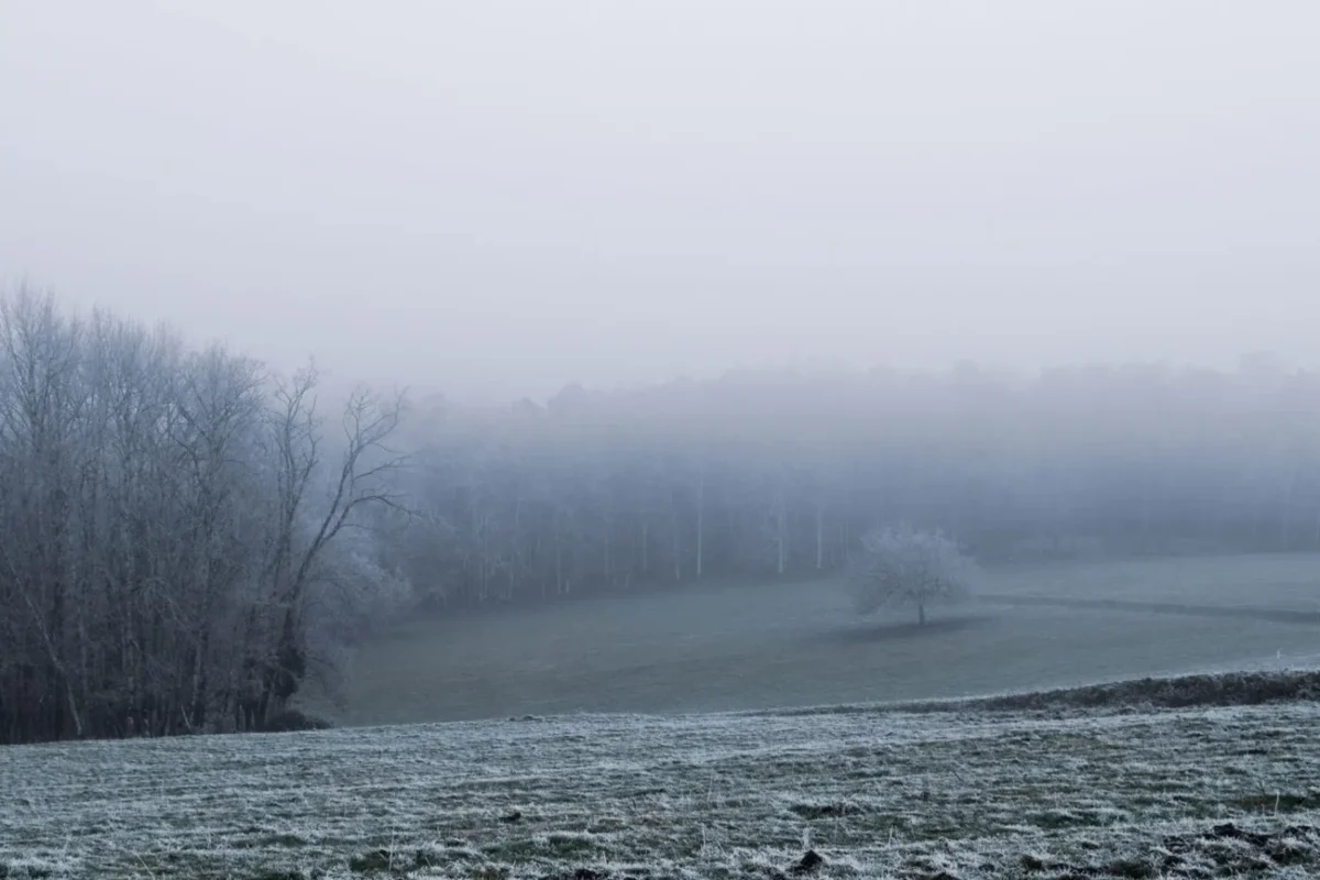 Pozor na ranní mrznoucí mlhy