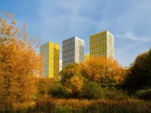 paneláky v podzimní krajině