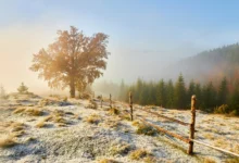 První sníh na horách (horská stezka, strom - jasný den)