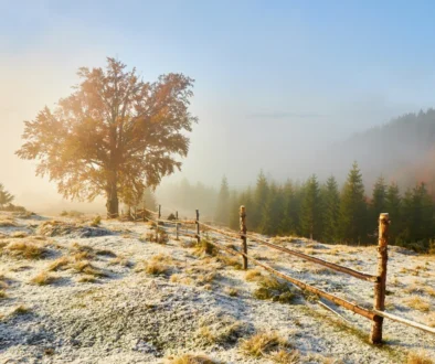 První sníh na horách (horská stezka, strom - jasný den)