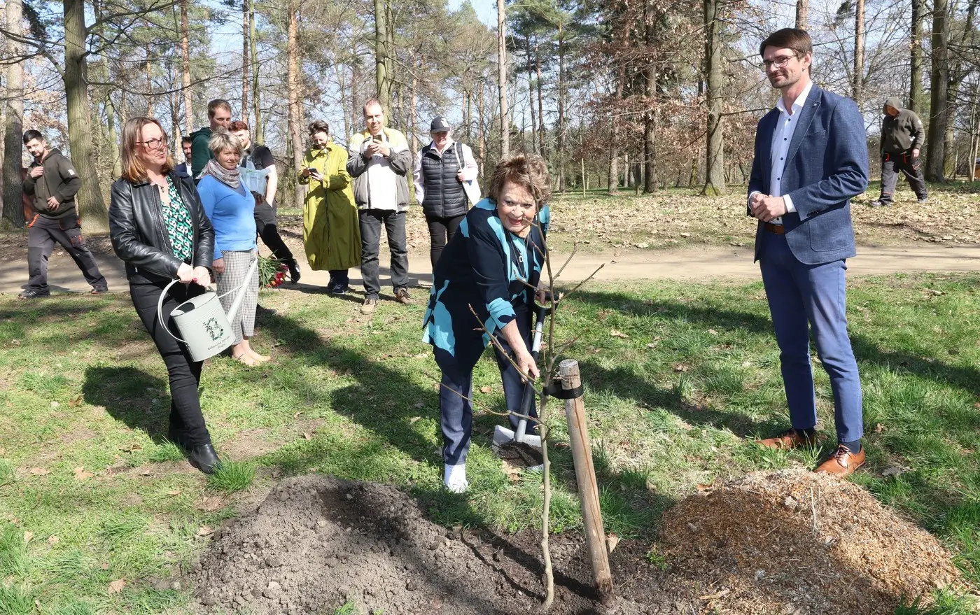 Sázení stromu v Botanické zahradě | TVGURU.cz Sázení stromu v Botanické zahradě