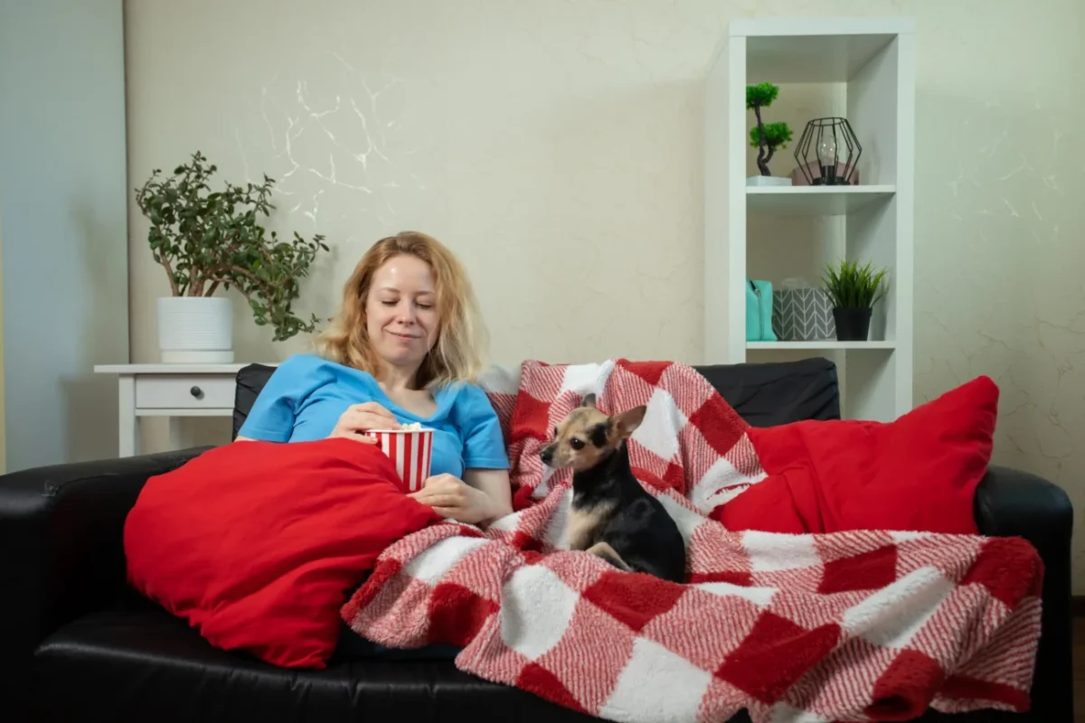 shutterstock_2470120131-2