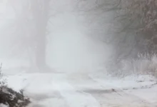 Mrznoucí mlhy jsou nebezpečné hlavně na silnicích