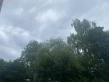 oblačno nad stromy v parku