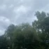 oblačno nad stromy v parku