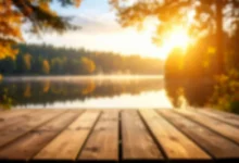 Podzimní příroda může být velmi krásná. Když zrovna neprší.