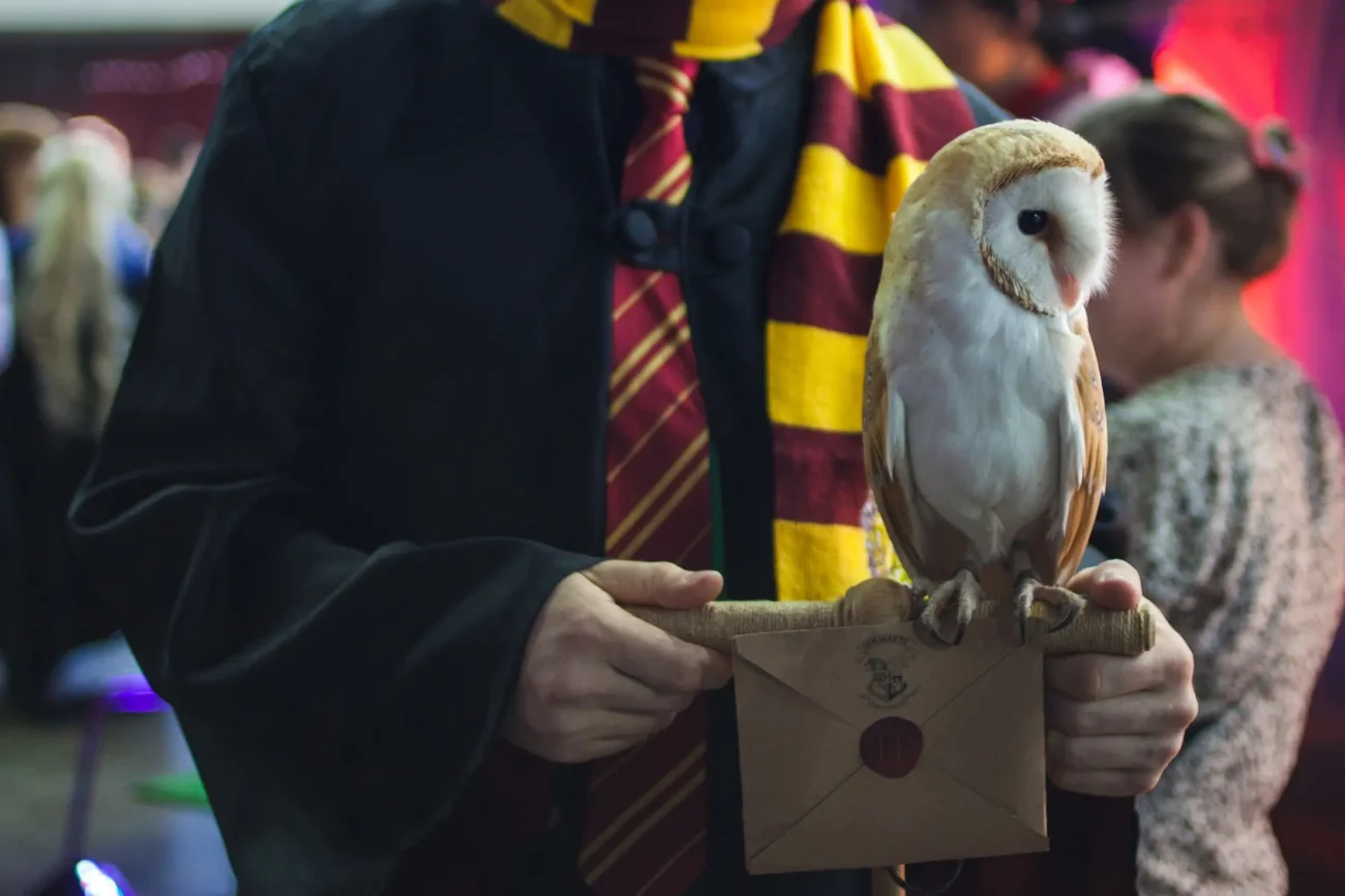 shutterstock_1396473128-2 | TVGURU.cz Harry Potter v ruce drží sovu.