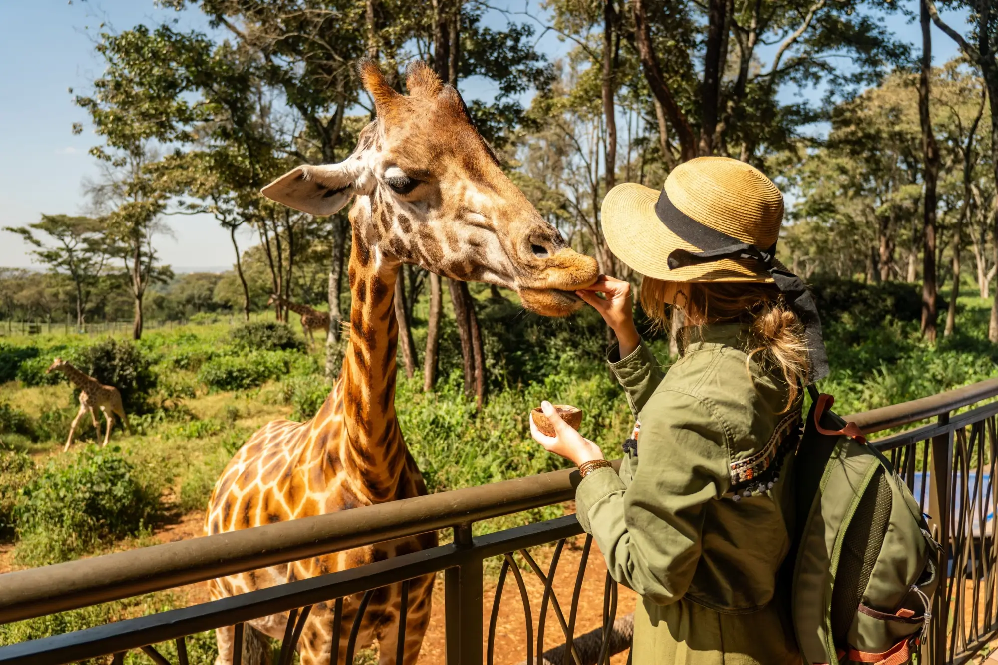Justýna získala roli i v seriálu ZOO | TVGURU.cz Justýna získala roli i v seriálu ZOO