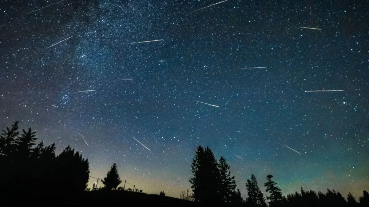 Meteorické roje