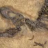 fosilie dinosaura