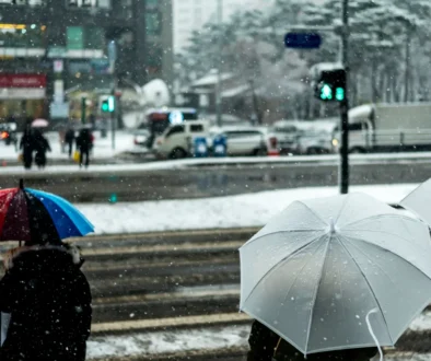 V posledních letech zažíváme v prosinci spíš plískanice, mrznoucí mrholení a mlhy