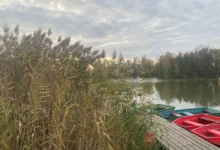 příroda a rybník na podzim a v zimě