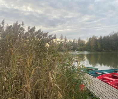 příroda a rybník na podzim a v zimě