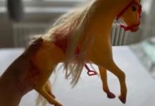 kůň jako hračka v ruce