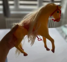 kůň jako hračka v ruce