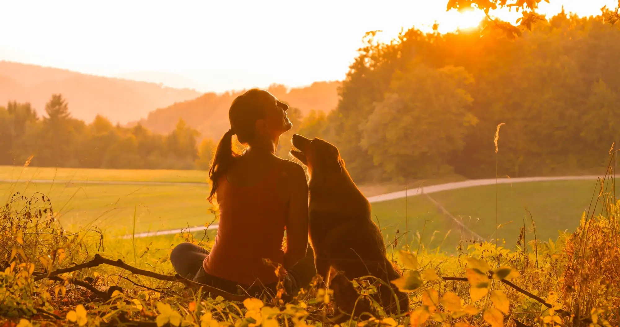V části Česka to ještě vypadá takhle | TVGURU.cz V části Česka to ještě vypadá takhle