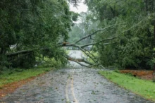 Doufejme, že něco takového se Česku vyhne