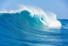 Anomálie v severním Pacifiku-jeho vody se nezvykle oteplily