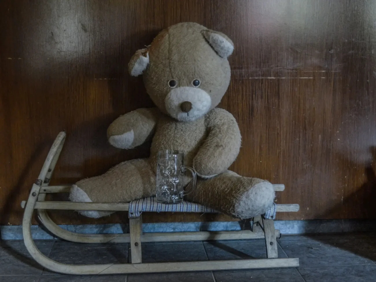 Shutterstock_2371863887 | TVGURU.cz starý velký plyšový medvěd na saních