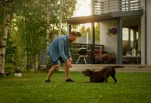 Muž si hraje s hnědým psem na zahradě.