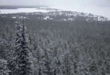 Prozatím bude sněžit jen v oblastech nad tisíc metrů