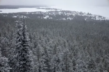 Prozatím bude sněžit jen v oblastech nad tisíc metrů