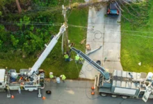 Vítr láme větve i celé stromy