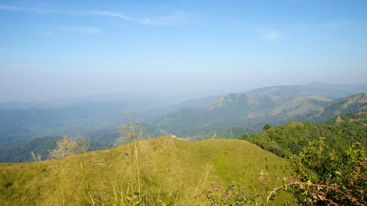 shutterstock_585173761 1