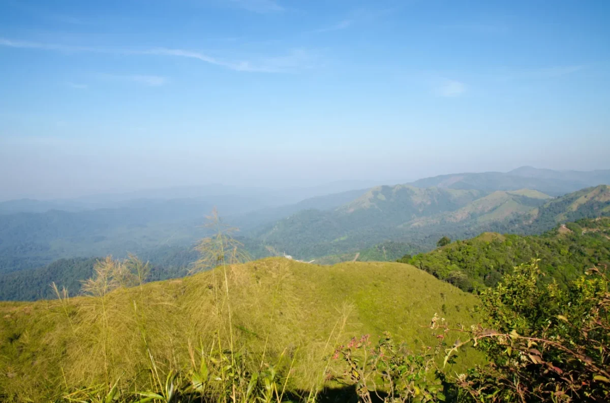 shutterstock_585173761 1