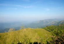 shutterstock_585173761 1